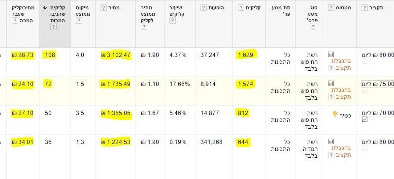 דוגמה מתוך קמפיין בגוגל
